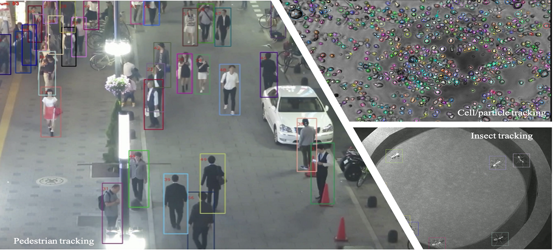 Multi-Object Tracking